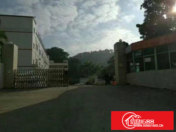 凤岗天堂围楼上刷地板漆厂房出租1500平水电齐全