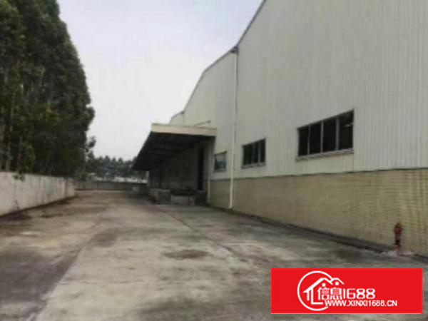 万江万江周边工业区独院单一层钢构滴水9米2000平方厂房