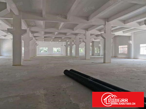 清溪全新独院单一层砖墙6米高厂房2200平招租带牛角