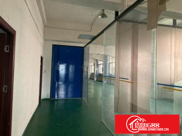 虎门龙眼楼上一整层500方