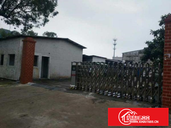 园洲独门独院厂房出租，共2800平方，价格实惠