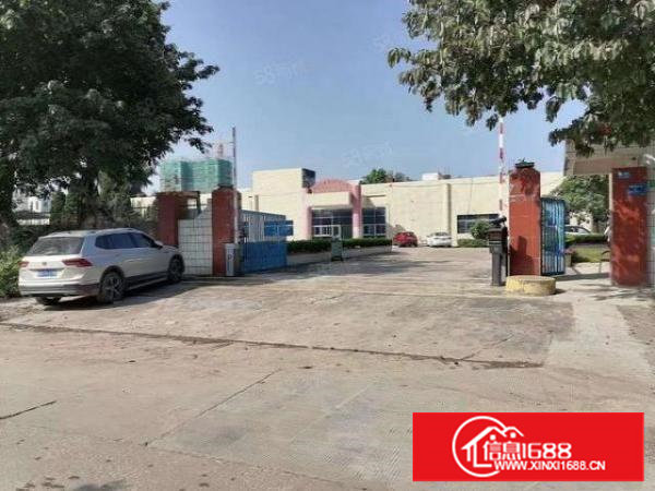 塘厦主干道边标准单一层厂房水泥顶空地大周边人气旺