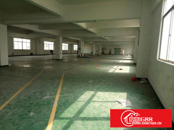 坪地坪西一楼6米高600平出租