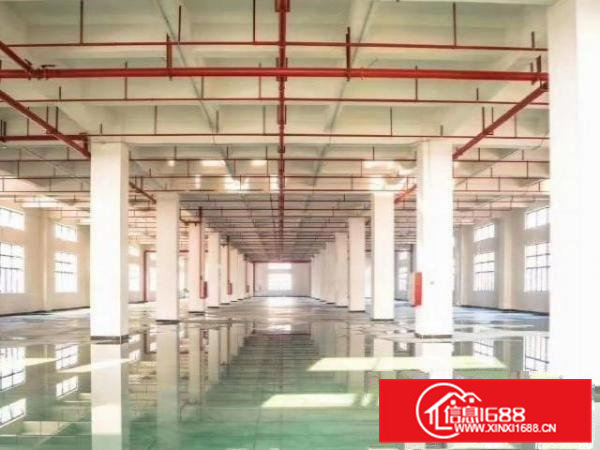 房东直租，工业厂房，适合各行业，年前年后免租金