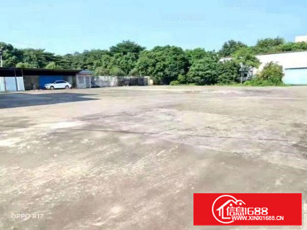 塘厦一手房东大独院厂房现大小分租！一手房东！标准加钢构厂房！