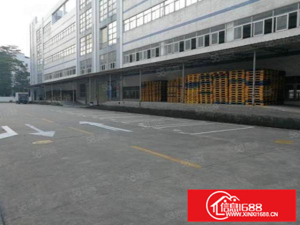 龙岗坪地国际低碳城6米高一楼3000平方带卸货平台厂房出租