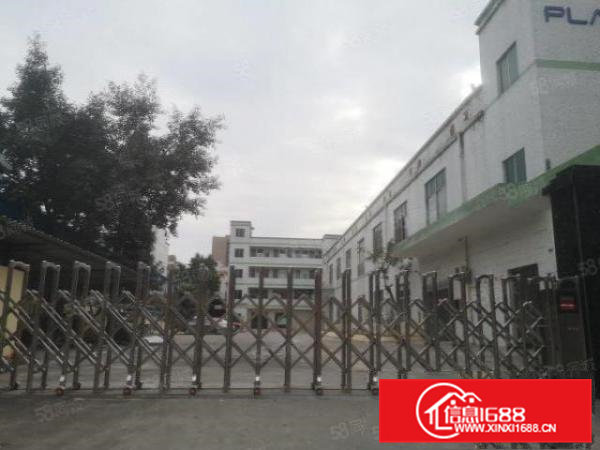 低价出租桥头镇原房东独院3800平带装修可办环评可分租