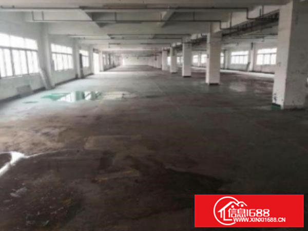 高埗独院标准厂房楼房6000平方出租