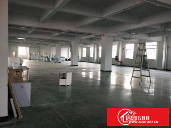 出租光明区300平米到6000平米厂房独门独院原房东带红本