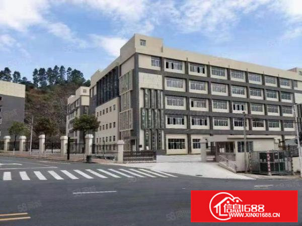 凤岗金凤凰原房东一楼2600平出租，可分租