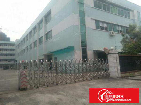 横沥三江工业区标准独院厂房带现成装修出租