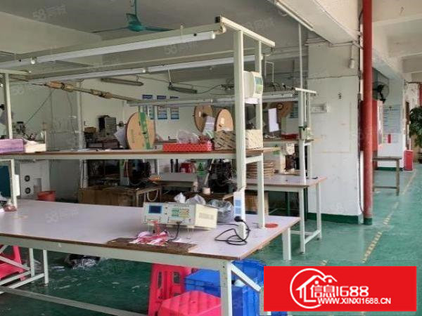 观澜桂花.楼上带装修带现成办公室地坪漆厂房低价出租