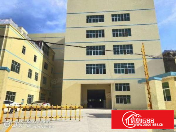 凤岗全新厂房楼上一整层4000平方，全新地坪漆，了分租