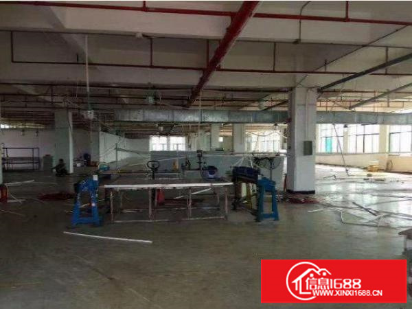 平湖新木村委标准一楼800平米厂房招租交通方便