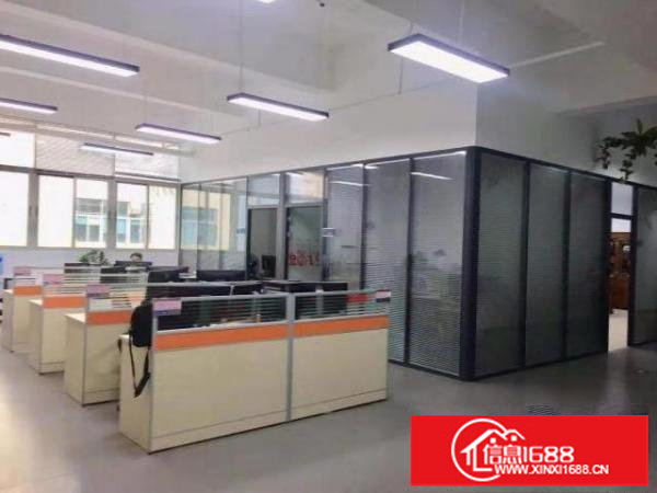 龙华新区独门独院厂房配套成熟交通方便实用率高价格实惠