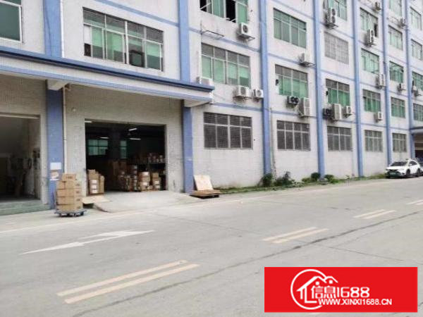 坂田上雪科技园一楼二楼200至2000平厂房仓库出租