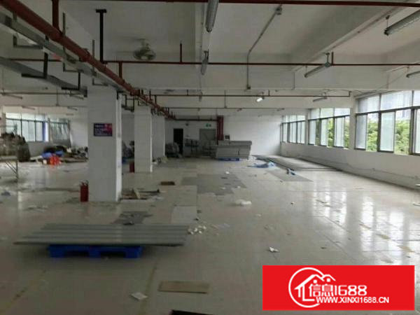 横岗楼上精装修800平方厂房出租。
