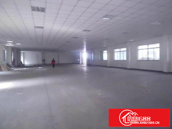 陈江平南电子厂房550平方