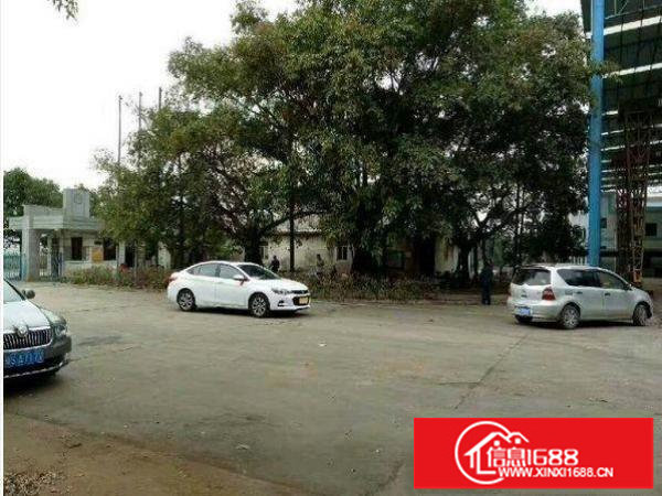 龙岗区坪地新出1200平高10米钢构厂房招租