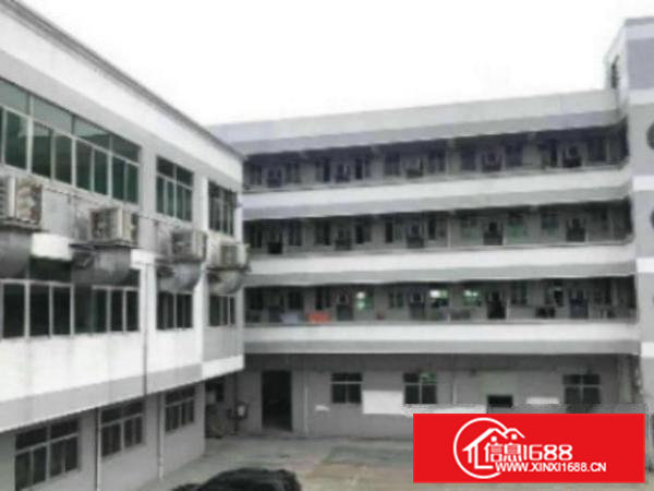 高埗九成新经典独院标准楼房厂房宿舍10000平方出租