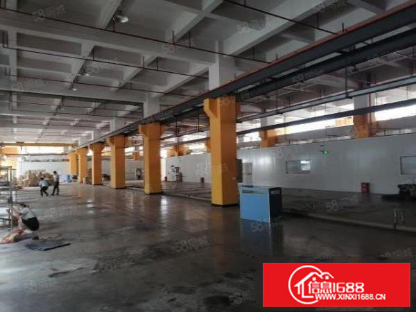 新出寮步原房东目前亮独门独院，可办环评，现成装修