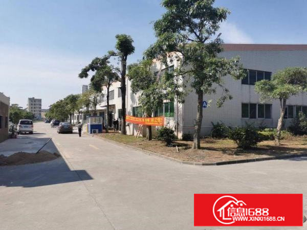 风岗花园式钢结构单一层厂房出租可分租面积12000平带办公楼