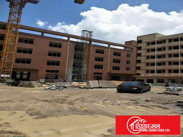 惠阳新圩全新独门独院四层厂房11000平方米招租