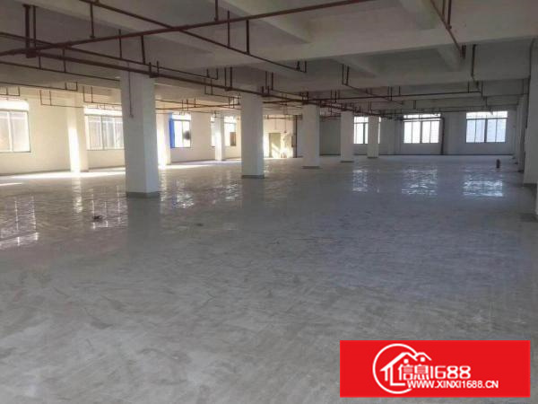 现成办公，独门院，可办环评，容桂5000方厂房出租