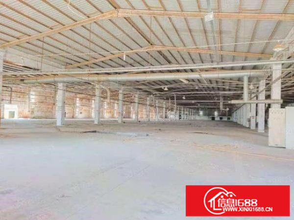 寮步镇新出原房东独院钢构带红本23000平厂房出租空地大