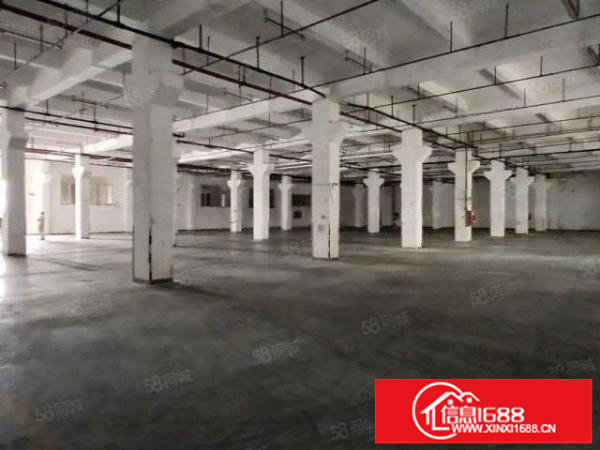 龙岗宝龙原房东标准6米高一楼厂房3500平带红本带