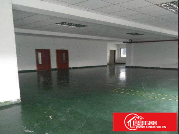龙岗区横岗楼上250平带装修厂房出租独立办公室全新地坪漆