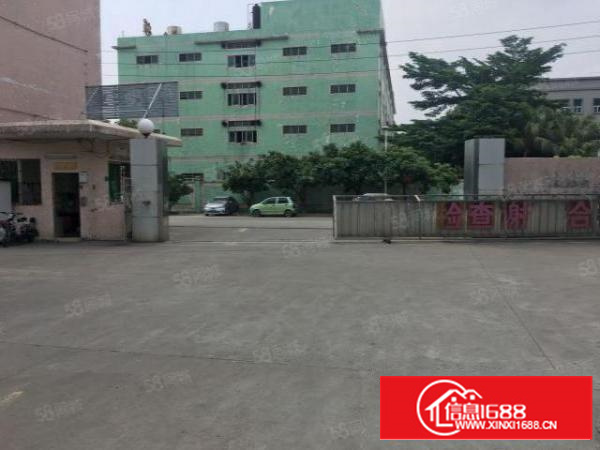 新出一楼标准厂房，价格实惠