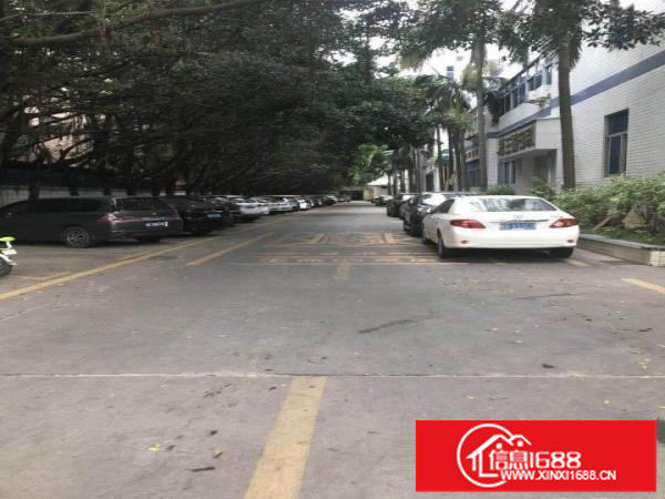 一楼1150平厂房出租龙岗中心城南联地铁口500米