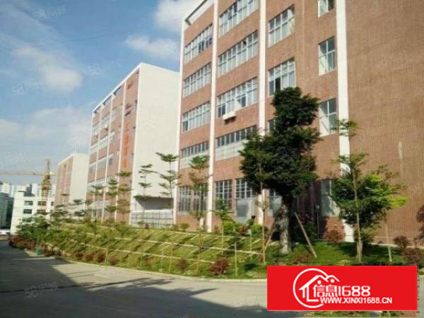 原房东直租5层12500平漂亮独院厂房有房产证有消防喷淋