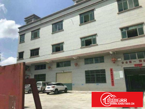 园洲标准厂房6000平，可整租可平分