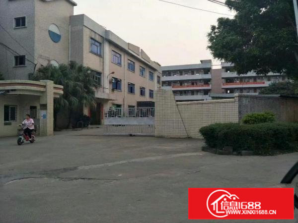 大岭山独院厂房出租4000平方带装修