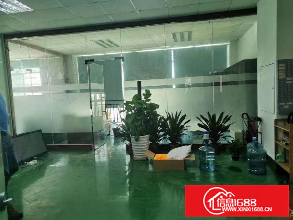 黄江北岸小独院原房东厂房带精装修领包入住厂房1000平方出租