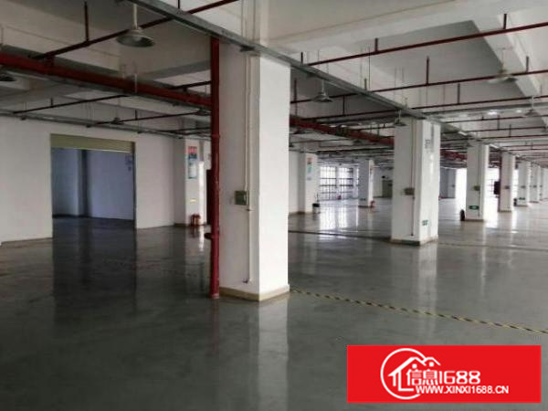 龙岗中心城新出整层精装修2000平方