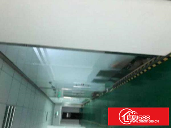 出租宝安区石岩外贸工业区鸿发5层