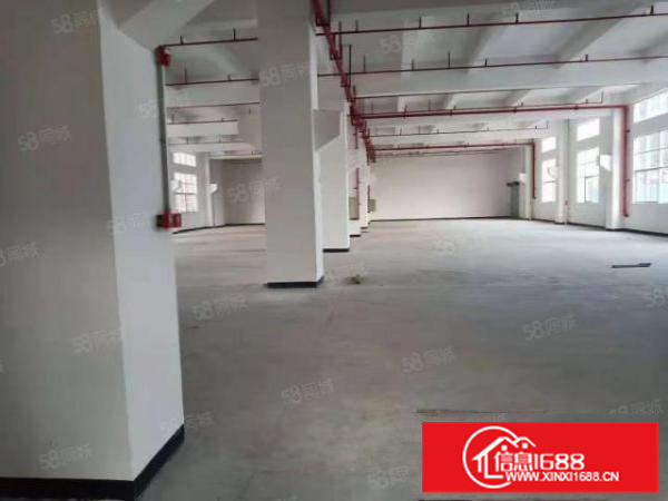 容桂高黎标准首层2500方,电大,形象好,不在拆迁区