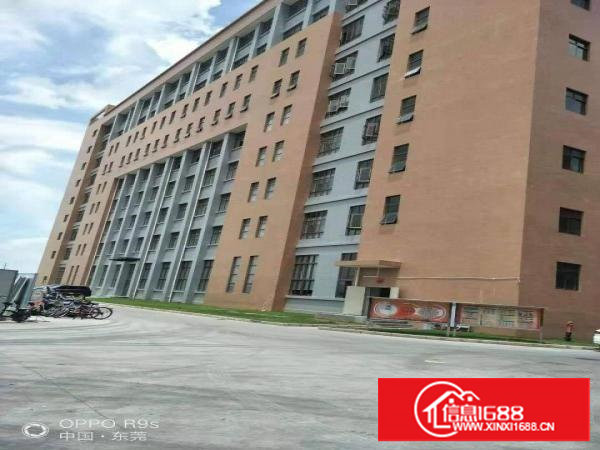 长安镇厦岗原房东红本厂房