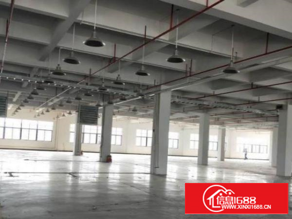 高埗工业区厂房一楼1000平方现成办公室精装修