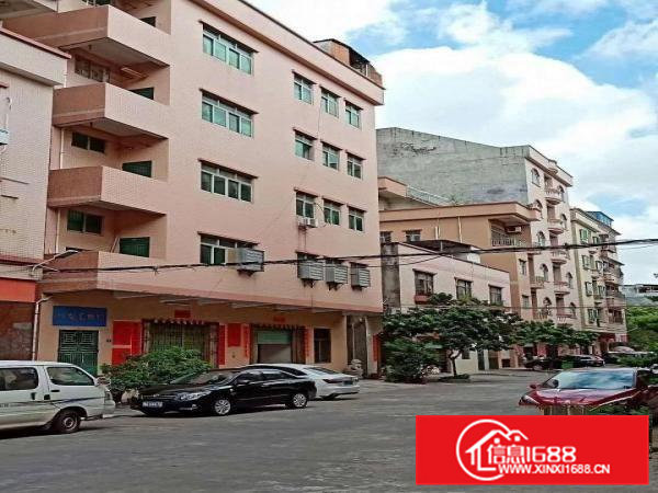 东莞茶山镇标准五层厂房2000平方出租，可分租