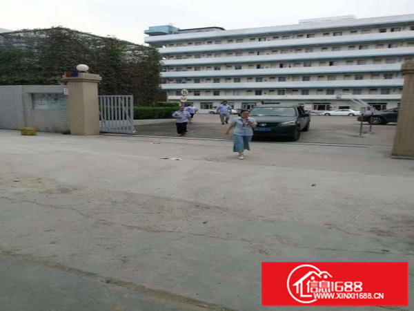 大朗仙村新出一二楼1000平方，每层500，可分租