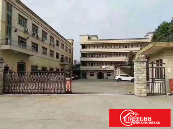 大岭山镇高速路口附近3楼750平标准厂房仓库出租信息