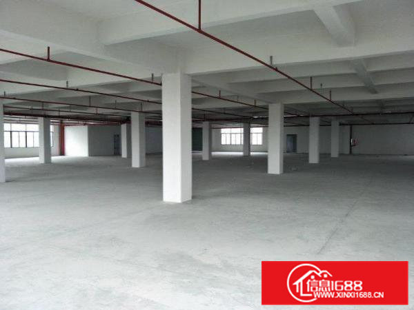 原房东独院标准厂房3300平方现代化厂房