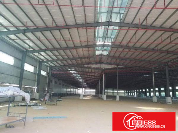 模具城附近靠常平新出单层11米高钢构