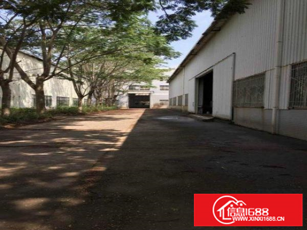 大亚湾独门独院15米高单层厂房11000平方米招租