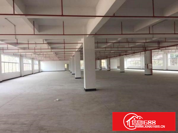 惠阳秋长原房东独门独院厂房14层5600可分租