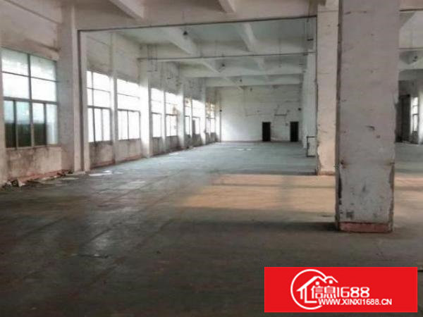 横岗带装修一楼厂房1000平方，可分租500平方